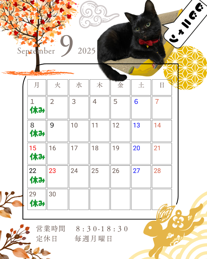 通学用自転車販売について🤩